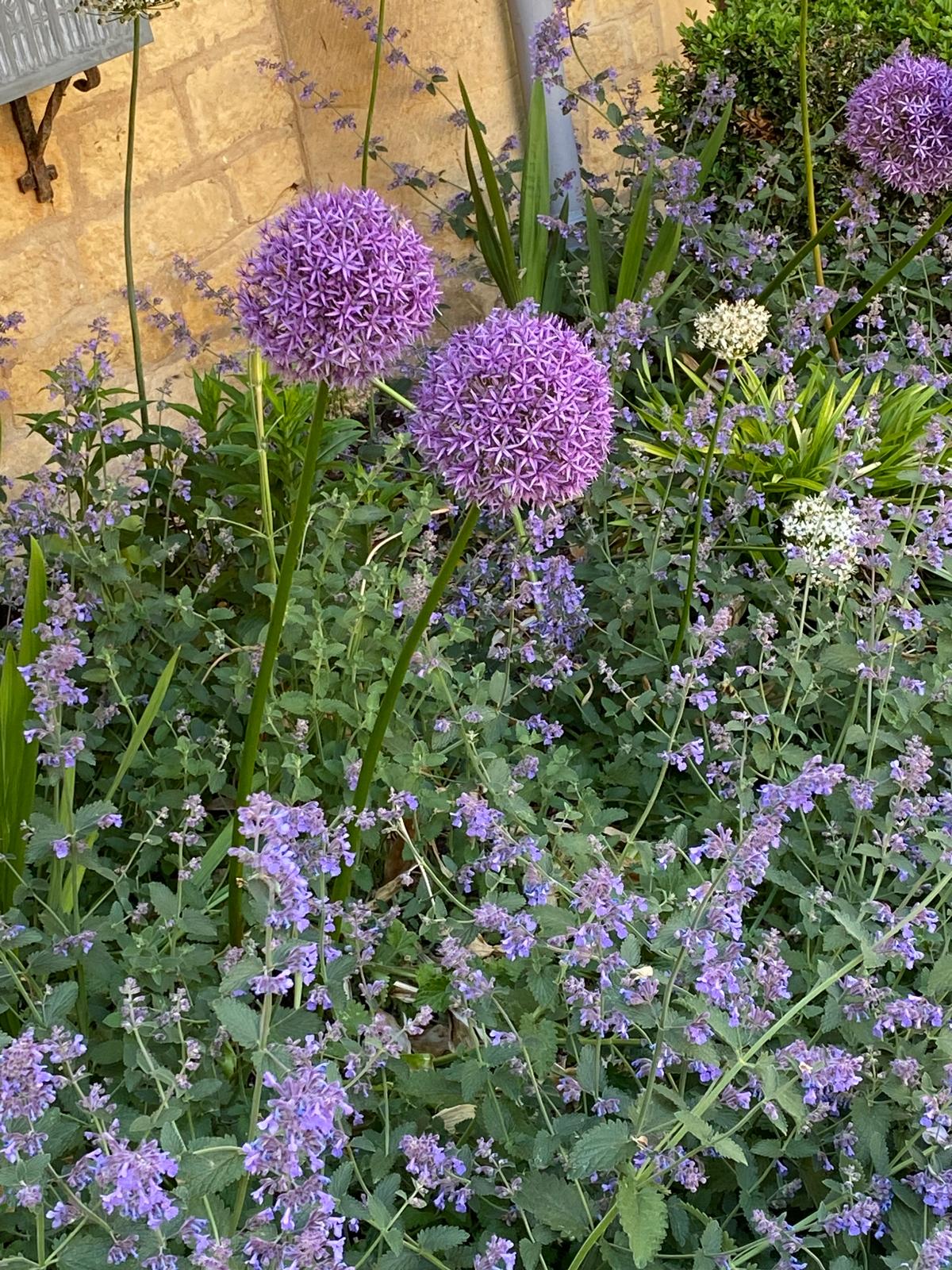 The Perfumer's Garden Experience - Image 6